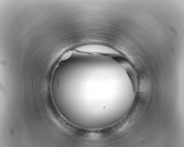 X0000091350352200708101535