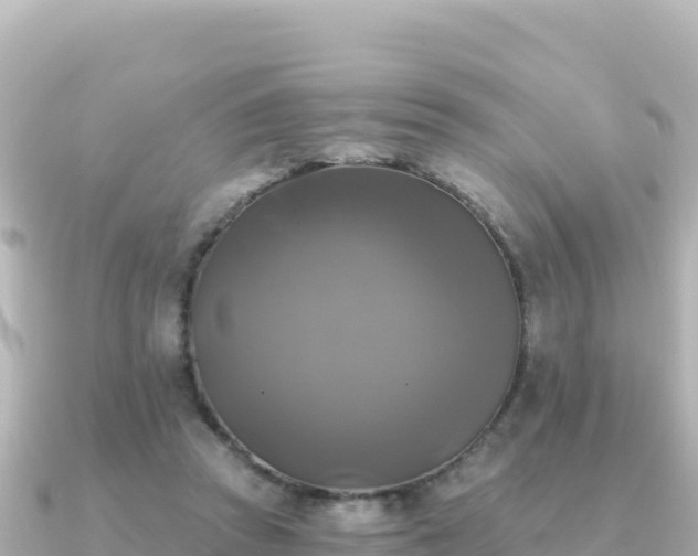 X0000091350353200708101535