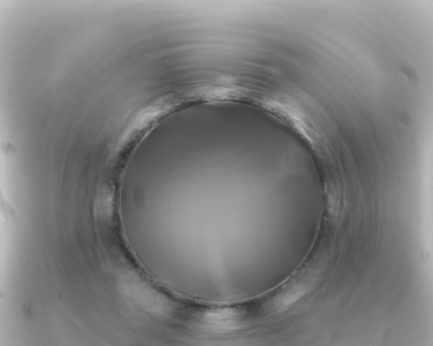 X0000091350357200708101535