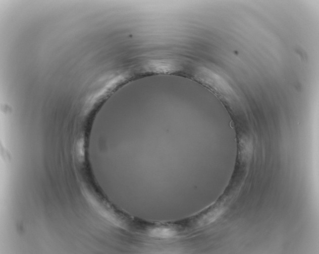 X0000091350358200708101535