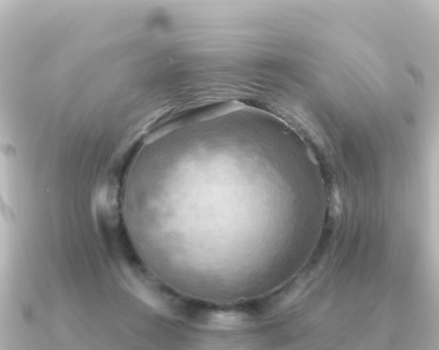 X0000091350360200708101535