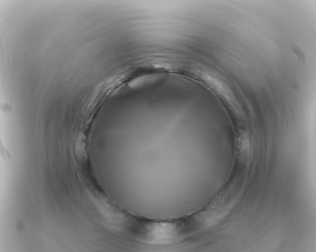 X0000091350361200708101535