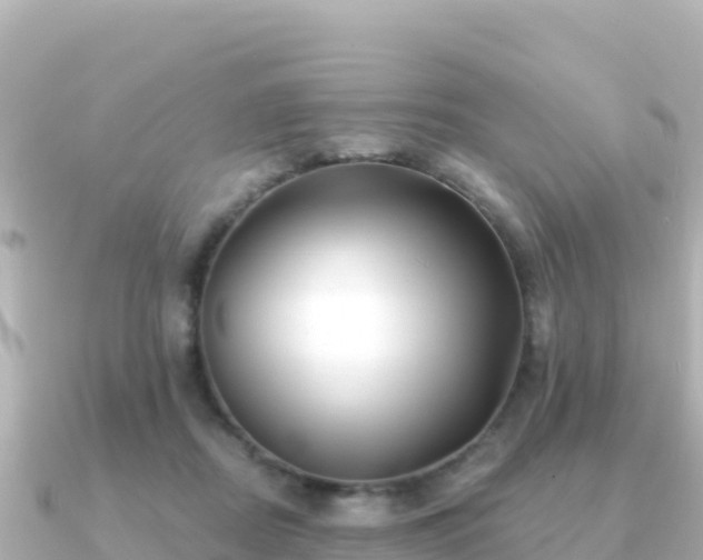 X0000091350362200708101535