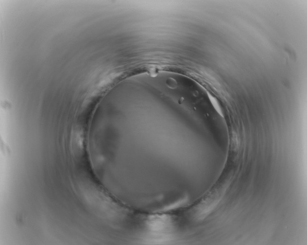 X0000091350363200708101535