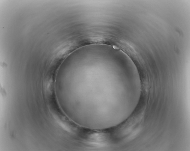 X0000091350364200708101535