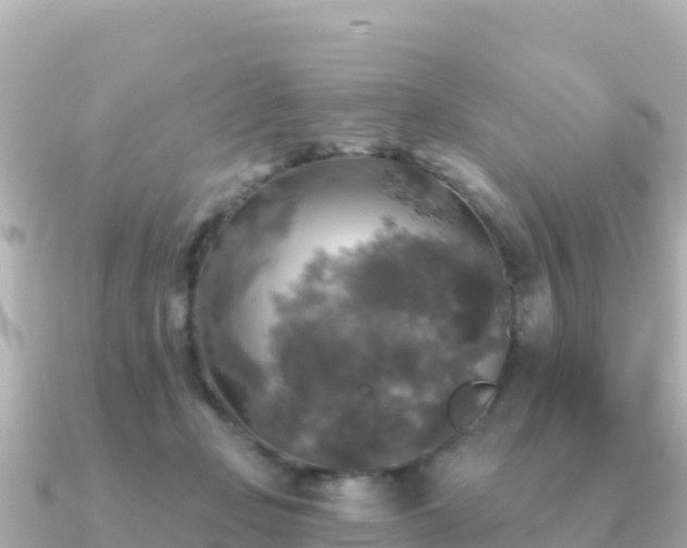 X0000091350365200708101535