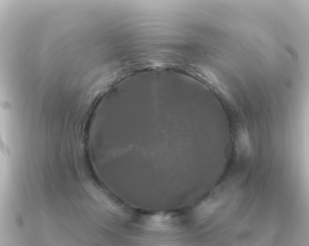 X0000091350366200708101535