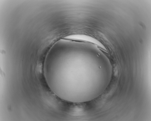 X0000091350368200708101535