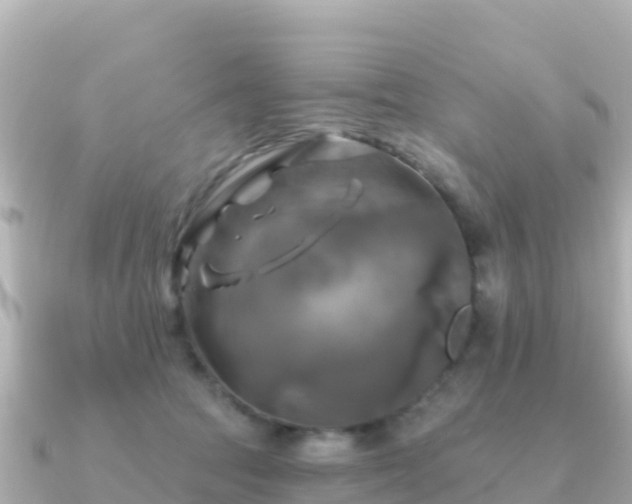 X0000091350369200708101535