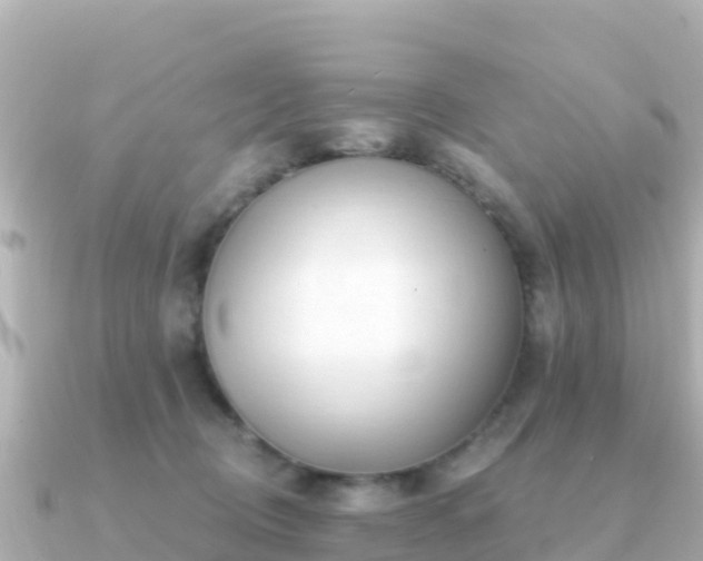X0000091350370200708101535