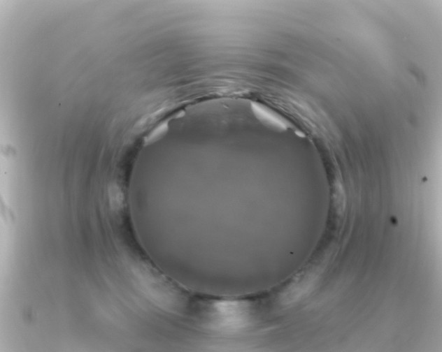 X0000091350371200708101535