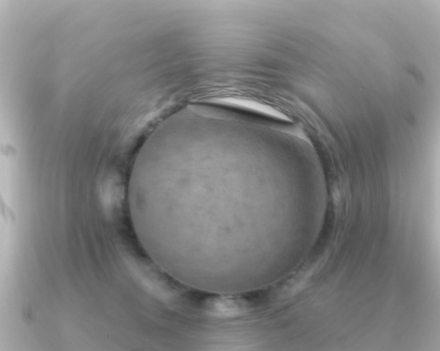 X0000091350372200708101535
