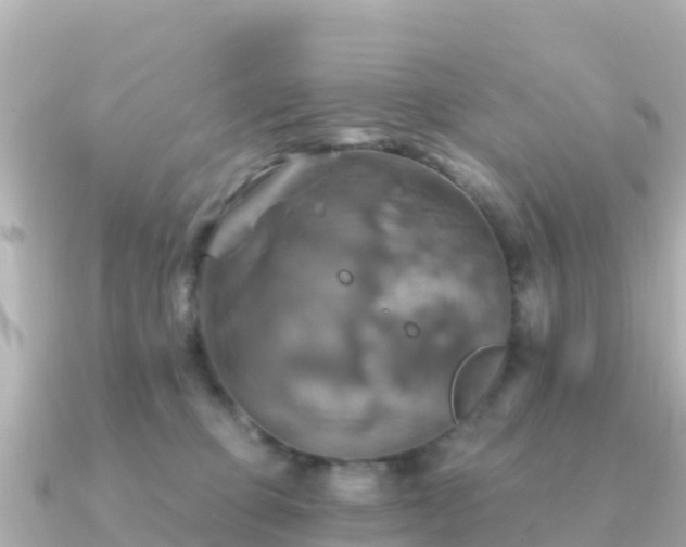 X0000091350373200708101535