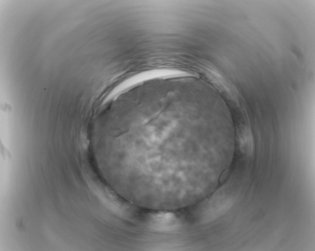 X0000091350374200708101535