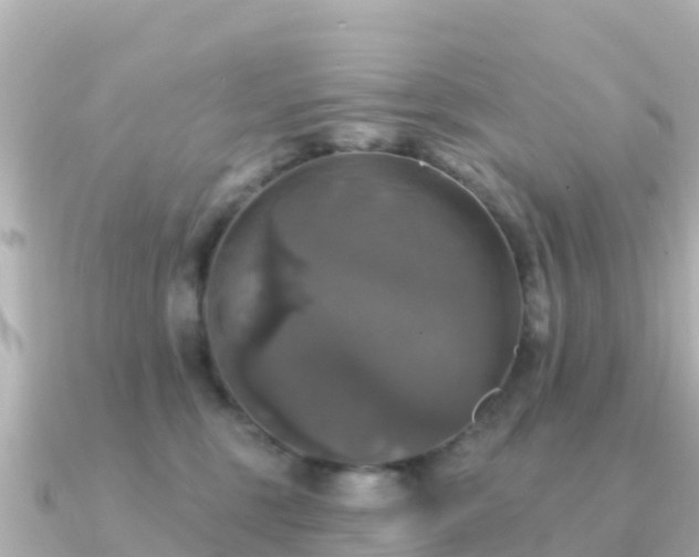 X0000091350375200708101535