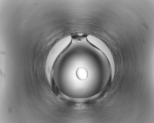 X0000091350376200708101535