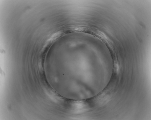 X0000091350377200708101535