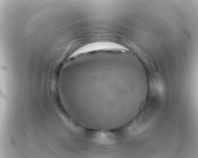 X0000091350379200708101535