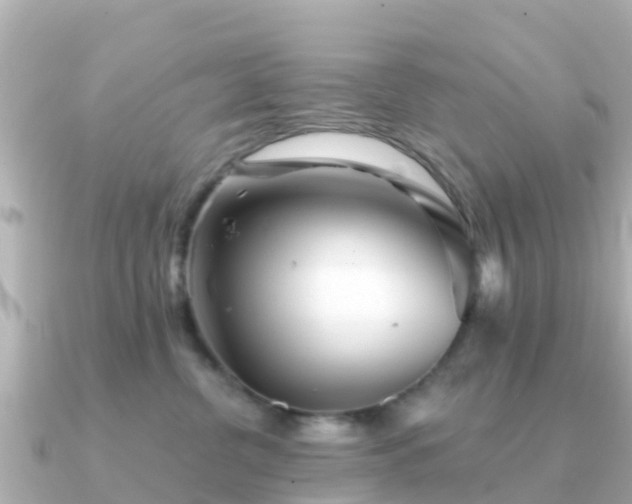 X0000091350380200708101535