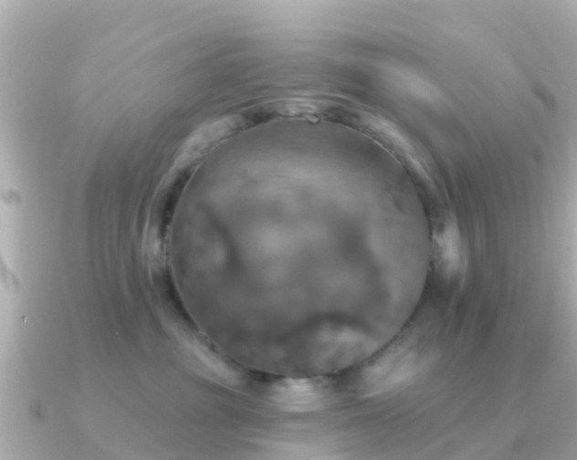X0000091350381200708101535