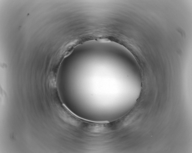 X0000091350384200708101535