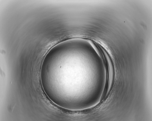 X0000091350385200708101534