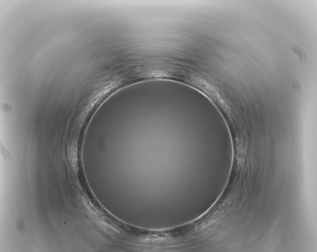 X0000091350386200708101534