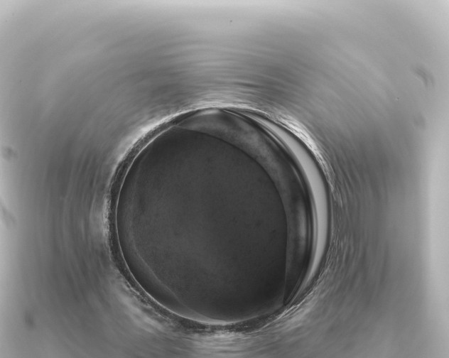 X0000091350387200708101534