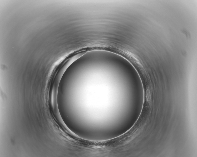 X0000091350388200708101534