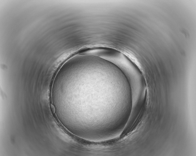 X0000091350389200708101534