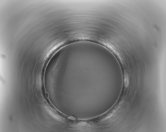 X0000091350390200708101534