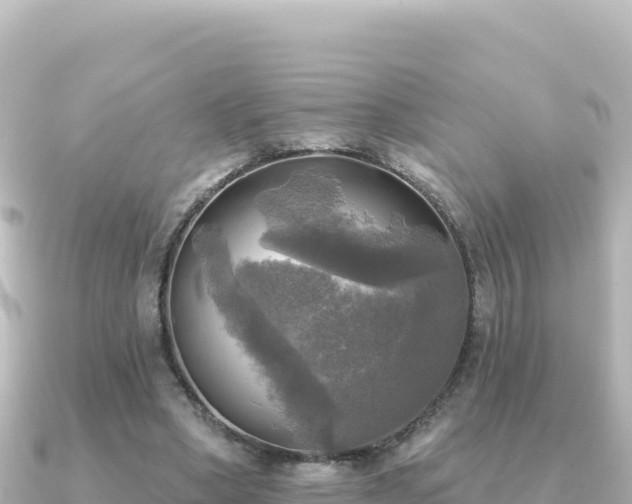 X0000091350394200708101534