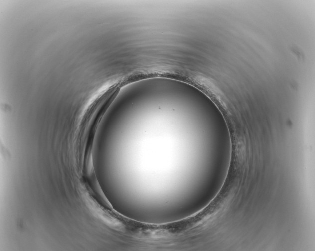 X0000091350395200708101534