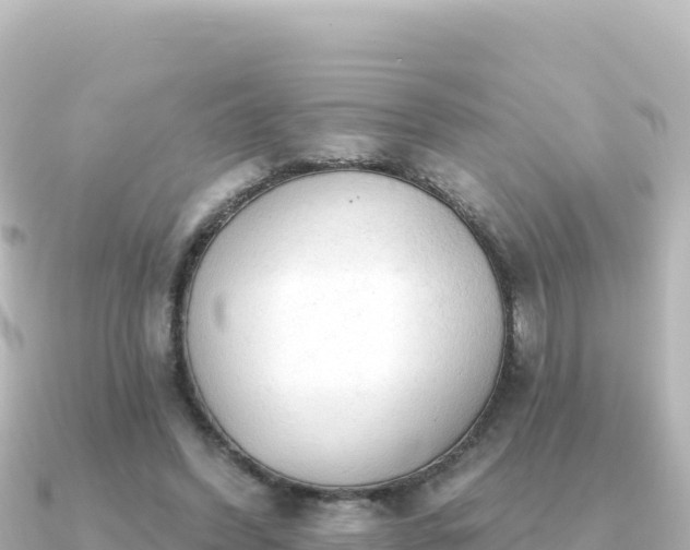 X0000091350396200708101534