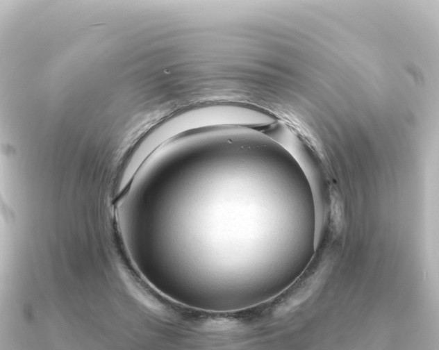 X0000091350397200708101534