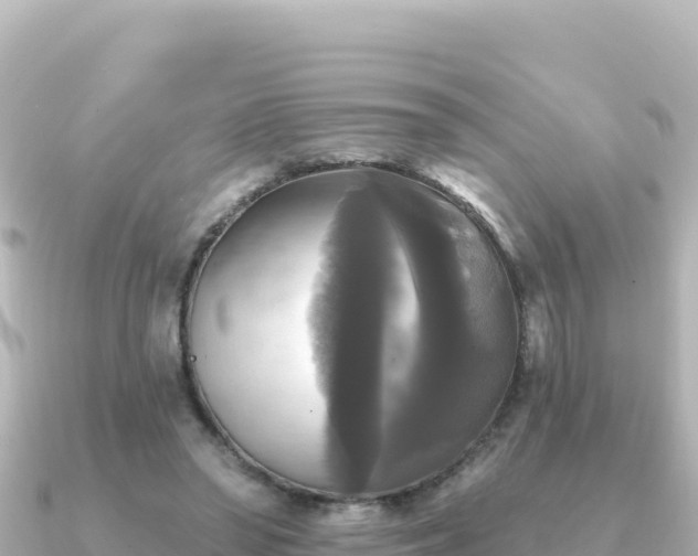 X0000091350398200708101534