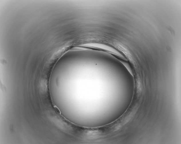X0000091350401200708101534