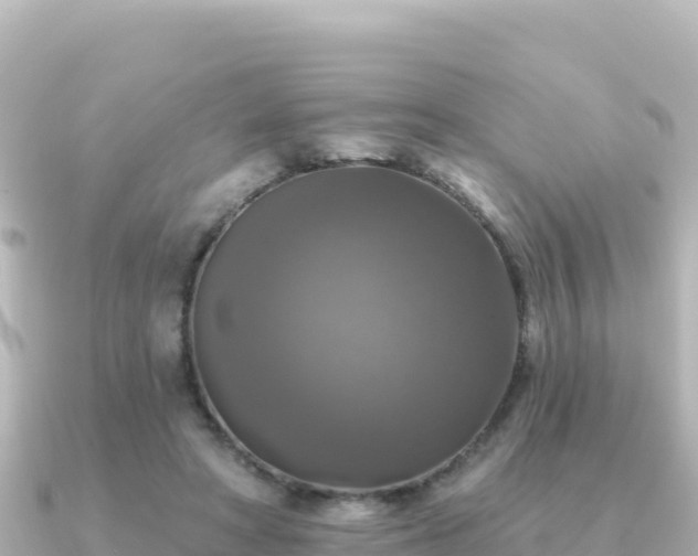 X0000091350402200708101534