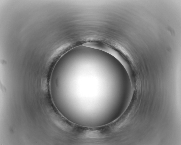 X0000091350403200708101534