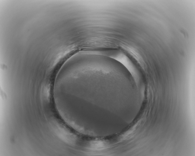 X0000091350404200708101534