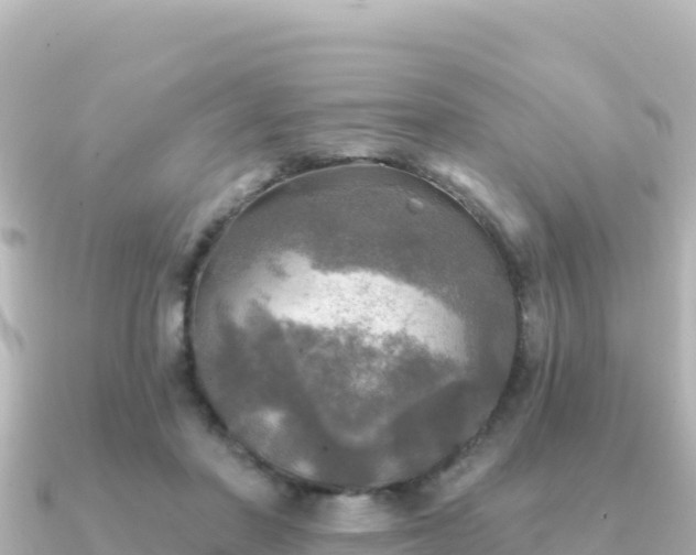 X0000091350406200708101534