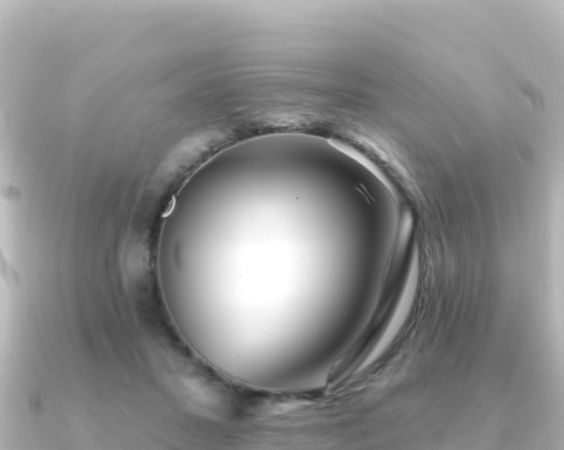 X0000091350407200708101534