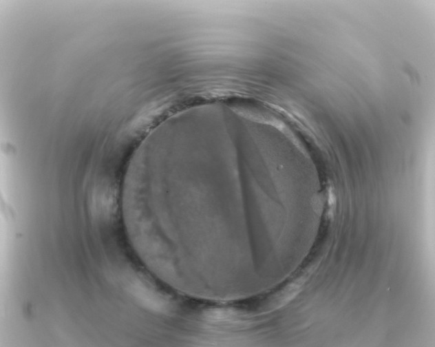X0000091350408200708101534