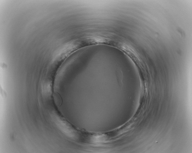X0000091350410200708101534