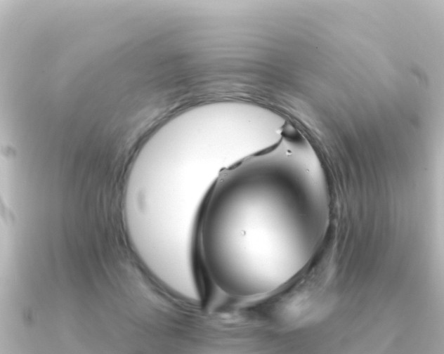 X0000091350411200708101534