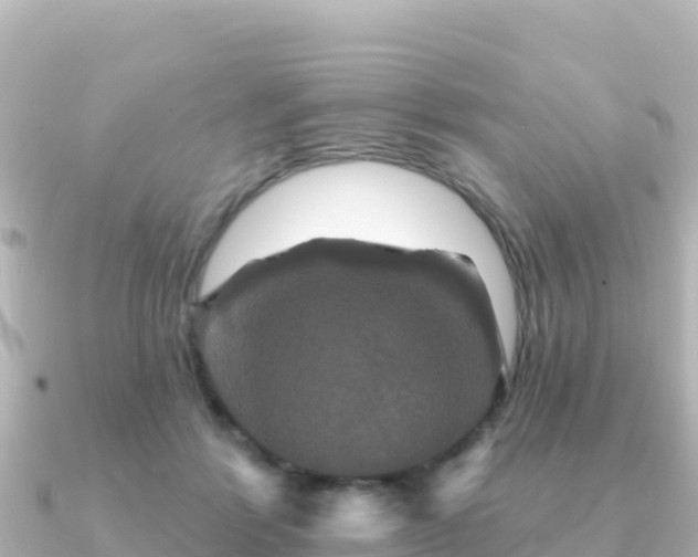 X0000091350412200708101534