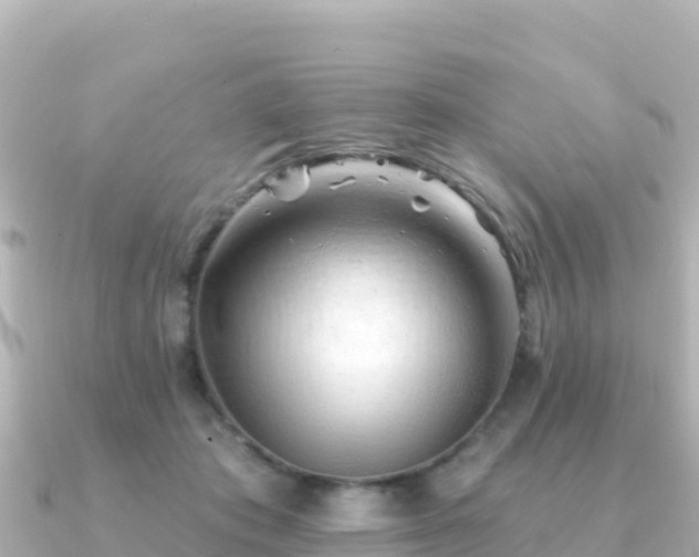 X0000091350413200708101534