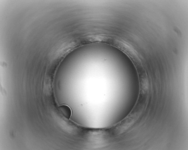 X0000091350414200708101534