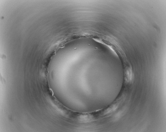 X0000091350415200708101534