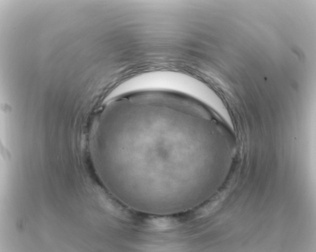 X0000091350417200708101534